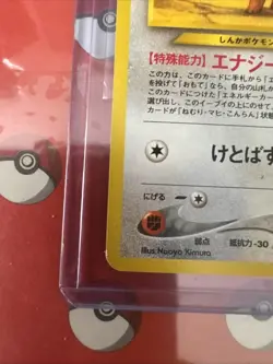 Eevee Neo Premium File 2 Regular (Japanese) Pokemon TCG Near Mint - Image 3