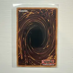 Yugioh! D.D. Warrior Lady - DCR-EN027 - Super Rare - Unlimited 25th Anniversary - Image 2