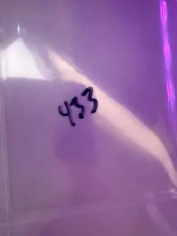 Magic the Gathering: Beta Stream of Life MTG Beta - Image 3