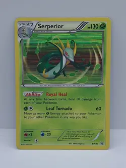 Pokemon Card Serperior BW20 Black Star Promo Rare Holo Promo - Image 1