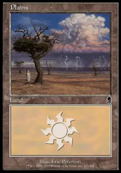 1x Plains (333) - Foil Heavy Play MTG Magic - Kid Icarus - - Image 1