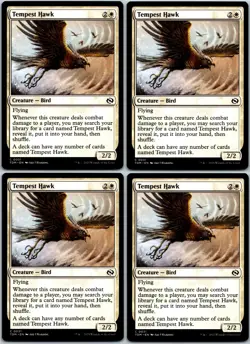 4x Tempest Hawk x4 - Tarkir Dragonstorm - MTG - Magic - 4 x - Near Mint - Image 1