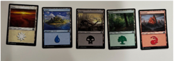 500 Magic the Gathering Basic Land - 100 of each + Card Storage Box - Image 1