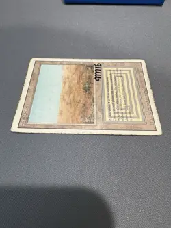 Scrubland Revised Edition Magic: The Gathering Card - Signed by artist! - Image 4