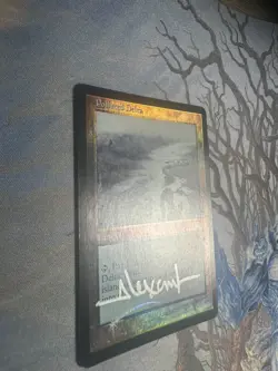 Polluted Delta Onslaught Foil LP Signed - Image 2