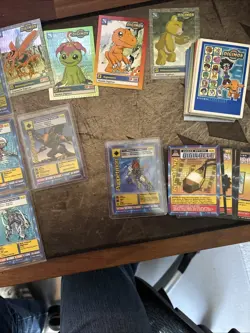 Digimon Bo Series 1+2, Starter 1 Near Complete Set(s) 143/170 Cards, DW01 PROMO - Image 5