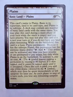 SLD Plains (254) (Full-Text Lands) Secret Lair Drop NonFoil MTG NM - Image 1