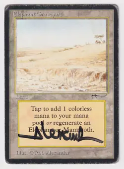 Signed Elephant Graveyard HP/DMG Arabian Nights Artist Rob Alexander 1993 MTG! - Image 1
