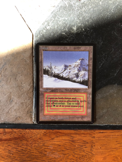 MTG - Taiga - Beta - Altered Card - Legacy - EDH - Commander - Watch Item Video! - Image 3