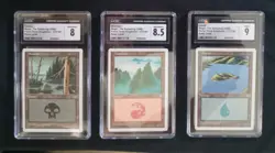 Mtg Basic Land Lot (CGC) Portal Three Kingdoms [1999] - Image 1