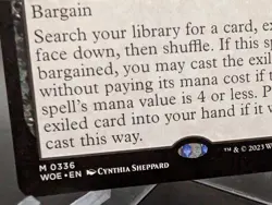 Beseech the Mirror (Extended Art) Wilds of Eldraine Regular - Image 2