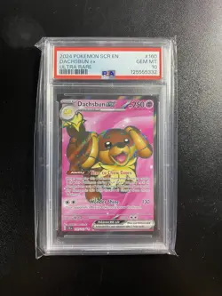 Pokemon TCG Dachsbun EX Stellar Crown Ultra Rare Card #160/142 PSA 10 Gem Mint - Image 1