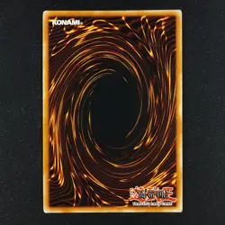 Level Limit Area B SD3-EN024 - Structure Deck - YuGiOh! Card - Image 4