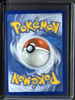 Pikachu V-Union #SWSH141 SWSH: Sword & Shield Promo Cards 250010 - Image 2