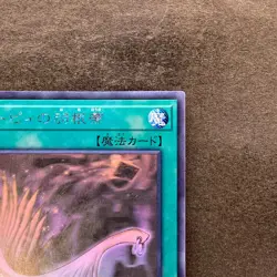 NM Harpie's Feather Duster DP21-JP000 Holographic Rare Ghost YuGiOh 2086 - Image 3