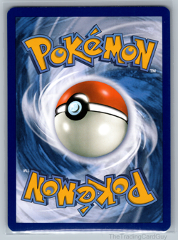 Paldean Wooper - 221/193 Illustration Rare Pokemon TCG SV02: Paldea Evolved NM - Image 2