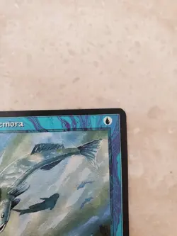 Magic: the Gathering MtG Mystic Remora Ice Age LP Vintage PLS READ - Image 3