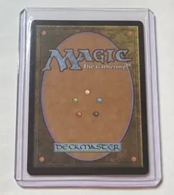 Thundering Falls #331 Murders at Karlov Manor Borderless Rare Land MTG NM/M - Image 2