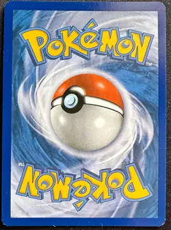 Pokemon TCG - ZOROARK X&Y Base Set 73/146 Holo Rare - NM - Image 2