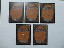 MtG Mercadian Masques Common Land Set of 5 NM $0.75 Flat Shipping VCT123902 - Image 2