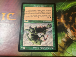 Survival of the Fittest - MTG - Exodus - Image 3