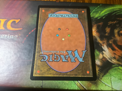 Survival of the Fittest - MTG - Exodus - Image 5