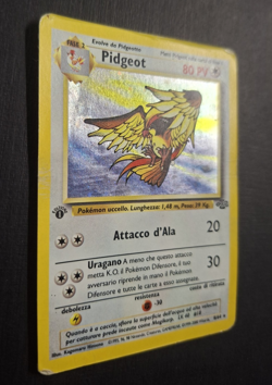 Carta Holo Pokemon PIDGEOT JUNGLE 8/64 prima edizione IT - Image 2