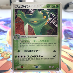 Sceptile 063/PCG-P Meiji Promo Japanese Pokemon Card ~ MP - Image 1