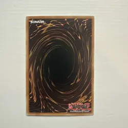 DOOD-EN055 • Black Rose Garden • Ultra Rare • 1st Ed • YuGiOh - Image 2