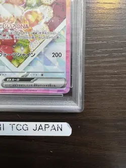 PSA 10 Eevee ex SAR 224/187 Terastal Festival sv8a 2024 Pokemon Card Japanese - Image 5