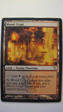 Magic The Gathering - Blood Crypt - Dissension - EX/LP - Image 1