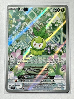 Pokemon TCG Petilil S&V Black Bolt 091/086 Illustration Rare Card NM - Image 1