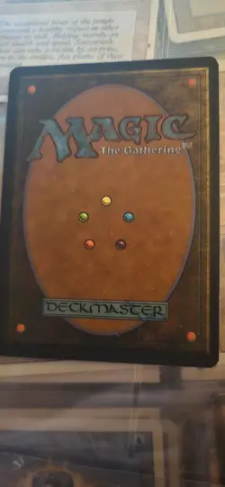 Savannah Lions Revised Edition Regular - Image 2