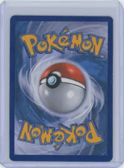 Pokemon Fan Club (106 Full Art) 106/106 Flashfire Holo - Image 2