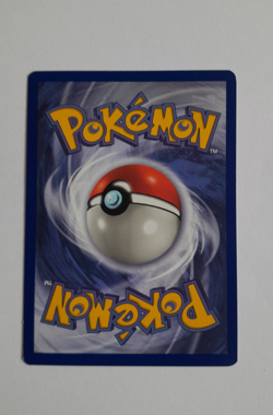Vintage Pokemon Dragonite Black Star Promo No 5 Card World Championship 2000 - Image 3