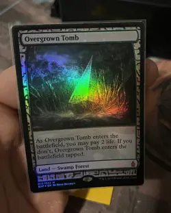 MTG English Overgrown Tomb NM Foil Zendikar Expeditions - Image 4