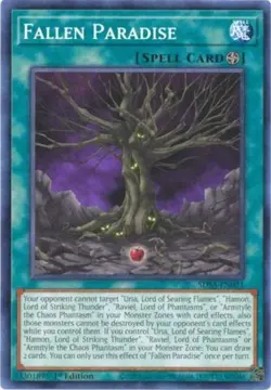 Yugioh! Fallen Paradise - SDSA-EN021 - Common - 1st Edition Near Mint, English - Image 1