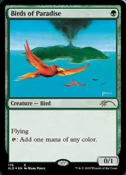 MTG English Birds of Paradise 176 Poole NM Foil Secret Lair - Image 1