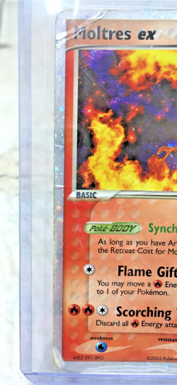 Moltres ex - 031 2005 Pokemon Nintendo Promo Holo - Image 3