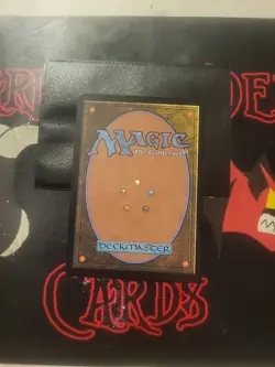 Magic The Gathering Midnight Hunt "Sigarda's Splendor" 033/277 FOIL RARE NM - Image 2