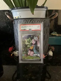 2025 POKEMON SIMPLIFIED CHINESE CBB1 C #09 SPRIGATITO PSA 9 - Image 2