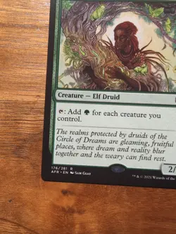 ​1x MTG AFR Circle of Dreams Druid, Near Mint​ - Image 2