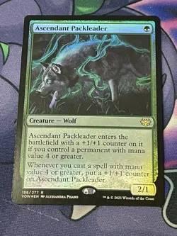 MTG - 1x Ascendant Packleader - Foil Crimson Vow NM - Image 1