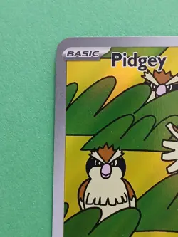 Pokemon Scarlet & Violet Obsidian Flames Pidgey 207/197 Illustration Rare - Image 3