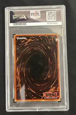 2002 Yugioh LOB #001 Blue Eyes White Dragon Legend Of Blue Eyes 1st Ed. PSA 8 - Image 2