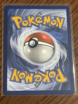Pokemon - Cradily 006/142 - Holo Rare - Stellar Crown - NM/M - NEW - Image 2