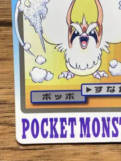 Pokemon Carddass Card Pidgey File No.16 Bandai Pocket Monsters 1997 Japan - Image 5
