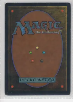 Arboria - Legends - Magic the Gathering MTG - vintage - ACTUAL CARD - US SELLER - Image 2