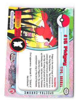 Topps Chrome 2000 Pidgey Pokemon Card #16 Holo NM SPECTRA - Image 2