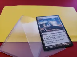 Homeward Path C13 #295 MtG - Image 5